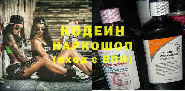 прущие грибы Балабаново