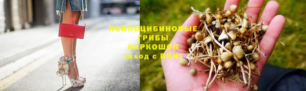 spice Приозерск