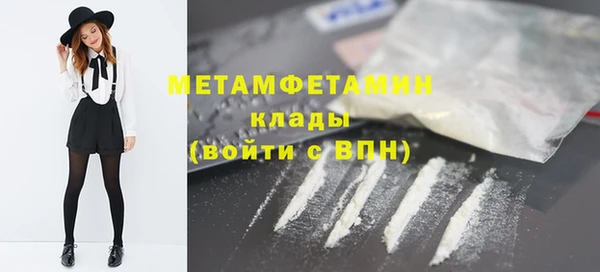 прущие грибы Балабаново