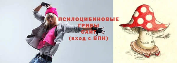 прущие грибы Балахна