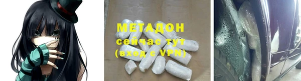 прущие грибы Балабаново