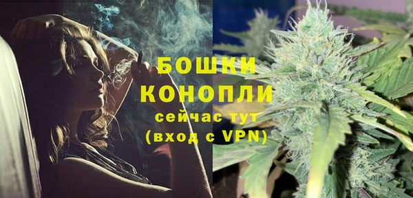прущие грибы Балахна