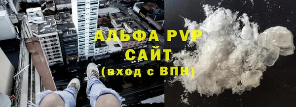 прущие грибы Балабаново