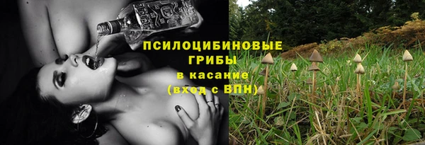 прущие грибы Балахна