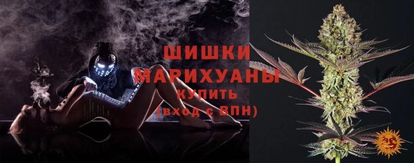 прущие грибы Балахна