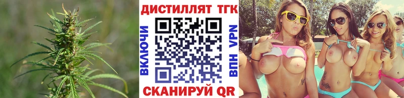ТГК гашишное масло  Купить  Болотное 